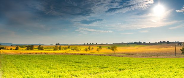 landscape-666927
